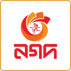 nagad logo